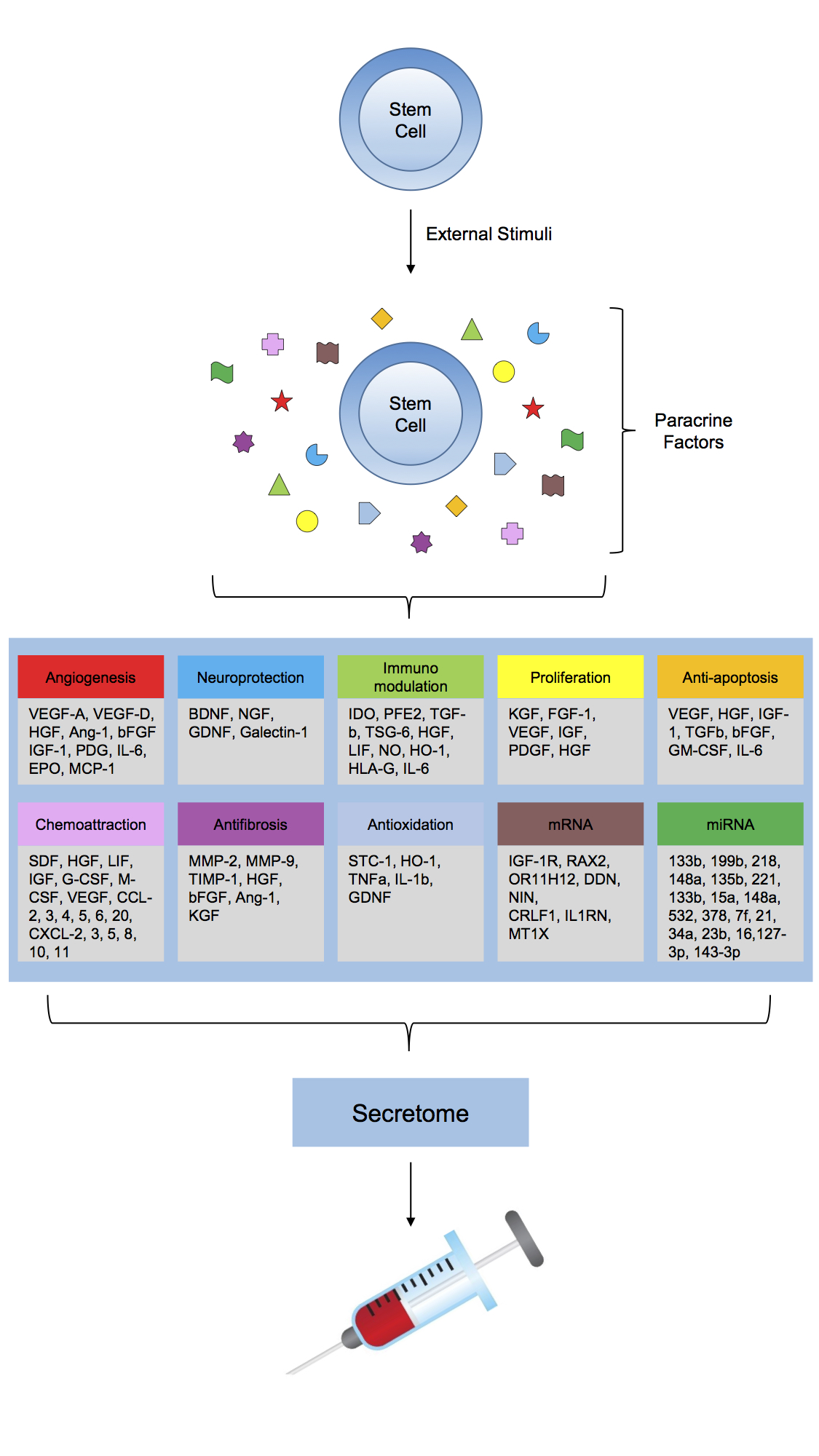 Stem Cell Secretome Pictogram