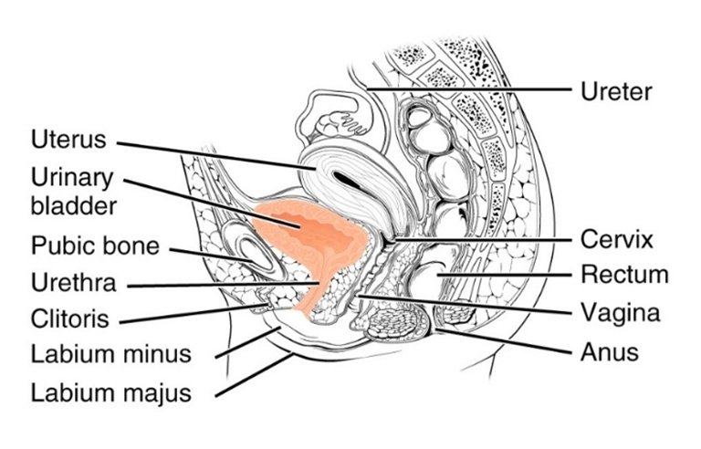 PRP-platelet-rich-plasma-therapy | Germany