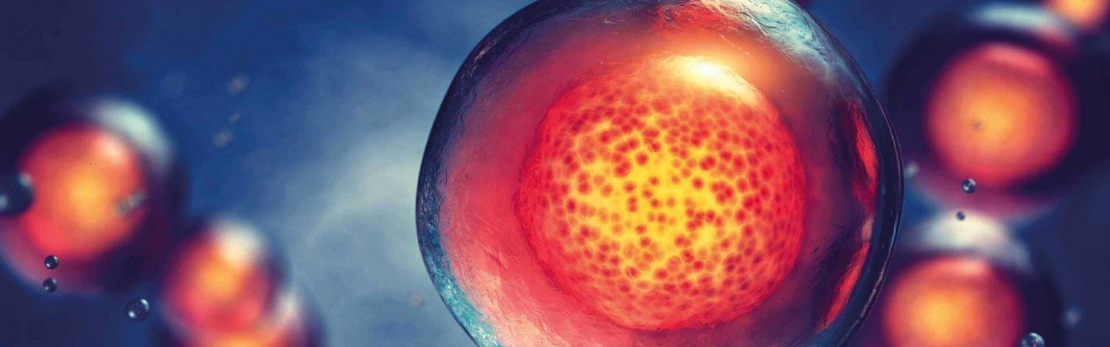 Stammzell Exosom Therapie