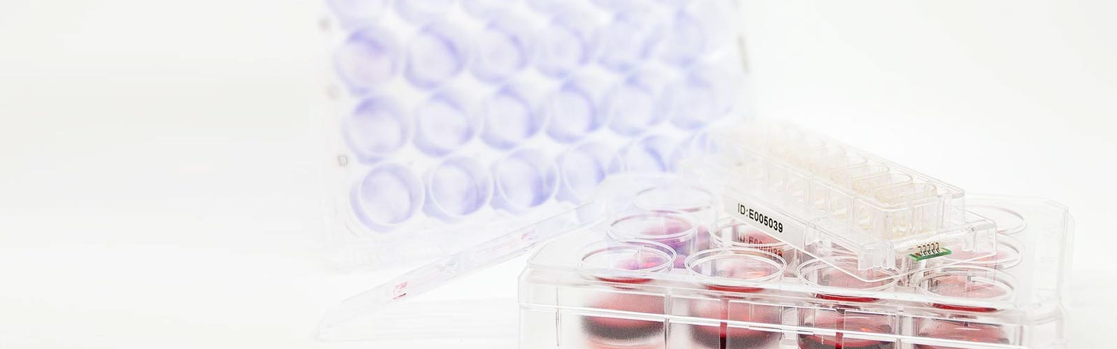 anova institute for regenerative medicine - Diagnostik