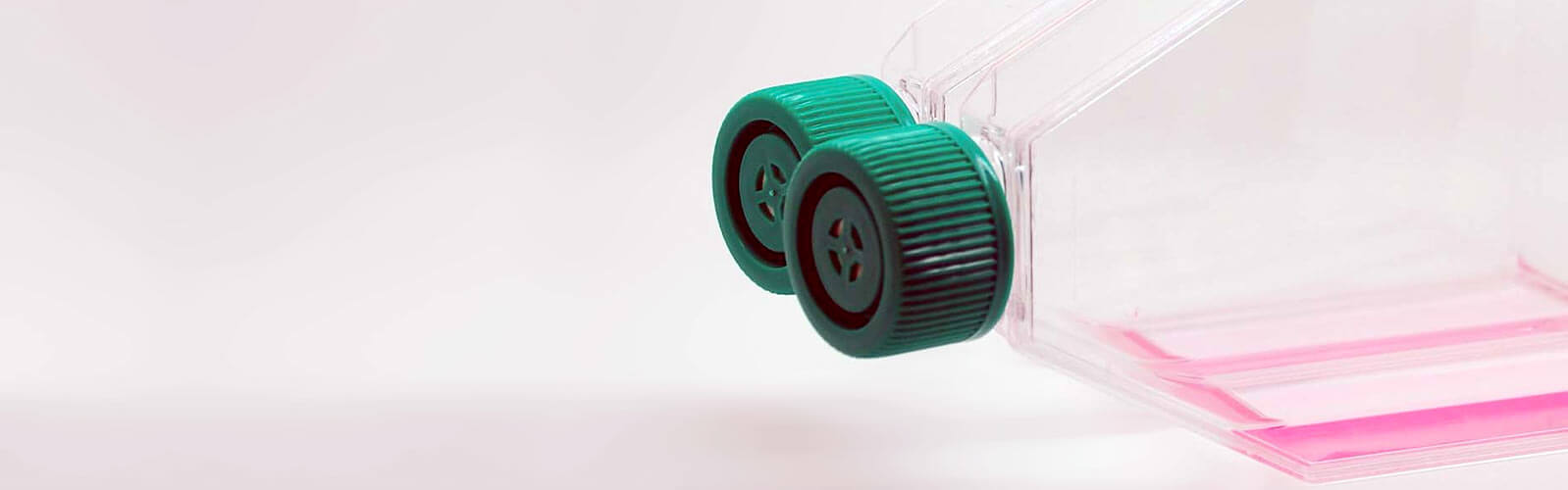 anova institute for regenerative medicine - Unser Labor