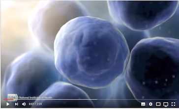 Unlocking the Mysteries of Extracellular RNA Communication